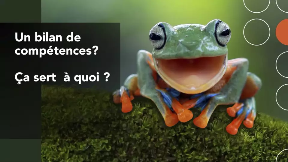 le bilan de compétences chez isatis-rh